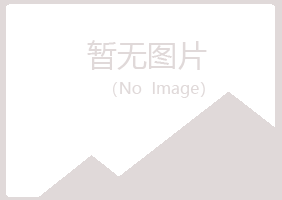 青岛崂山夏青木材有限公司